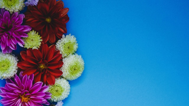 上海申花的 上海申花的