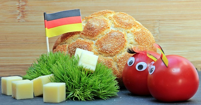 为新手提供 为新手提供