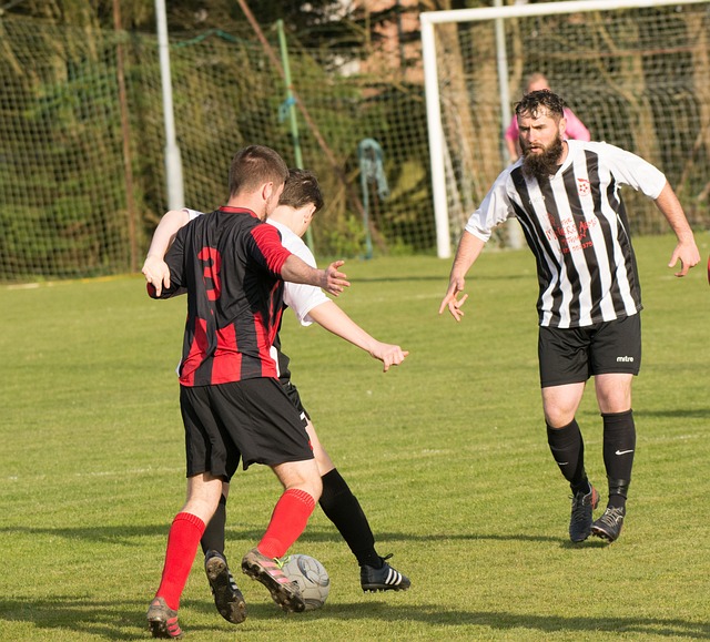 队一直都是 队一直都是