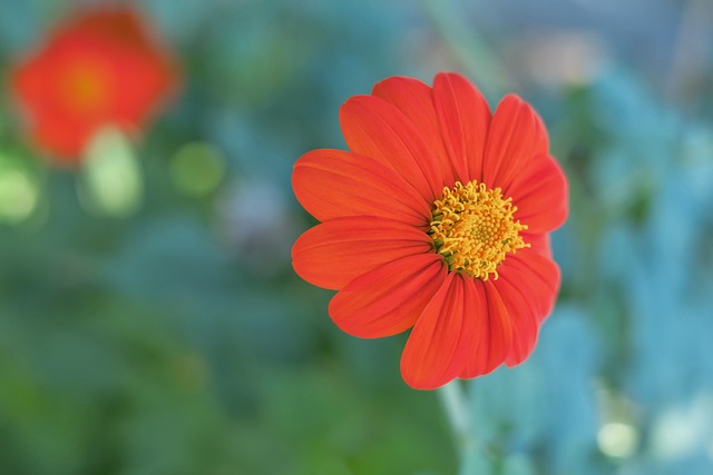 受到了严重 受到了严重