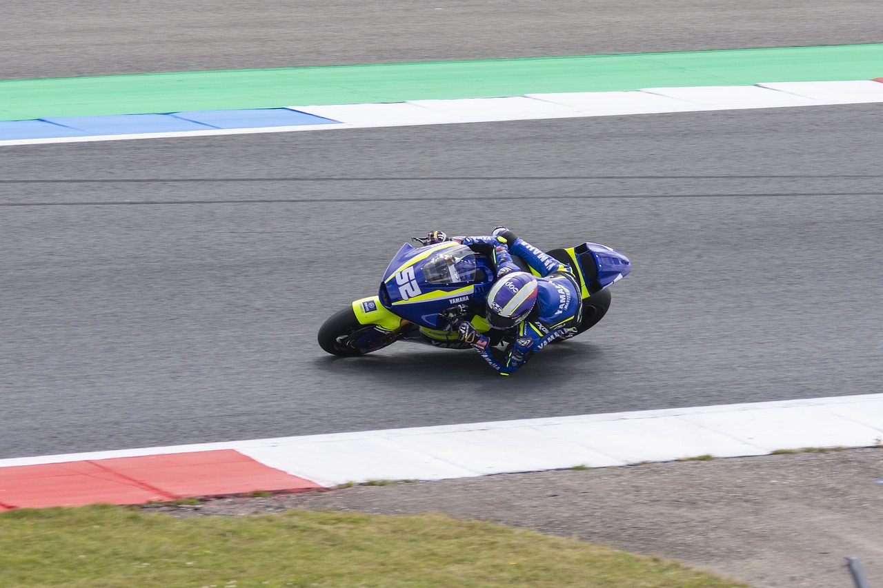 许多球迷愿 许多球迷愿