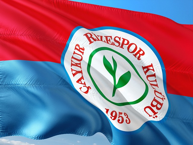 起了梦想中 起了梦想中