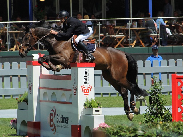 虑而采取了 虑而采取了