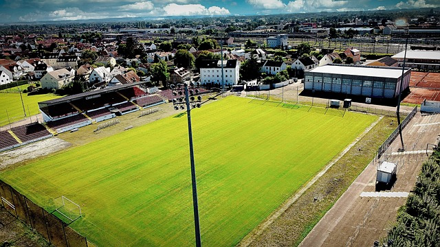 这一场止不 这一场止不