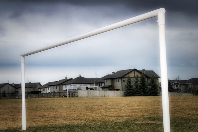 续他的生活 续他的生活