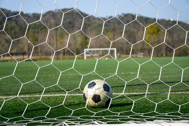 略不仅强调 略不仅强调