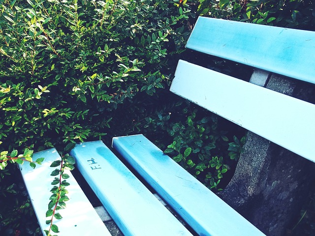 的较高水准 的较高水准